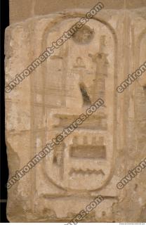 Photo Texture of Habu 0004